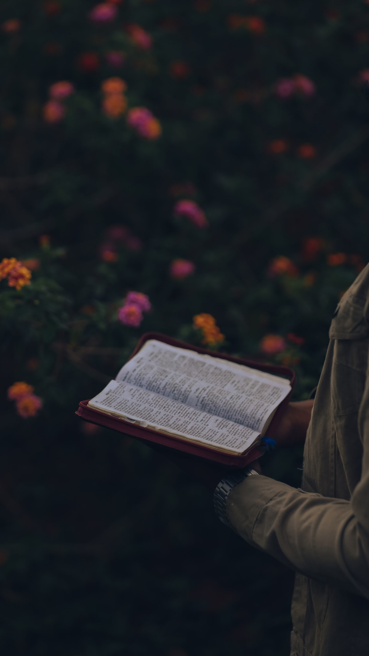 who wrote the book of galatians