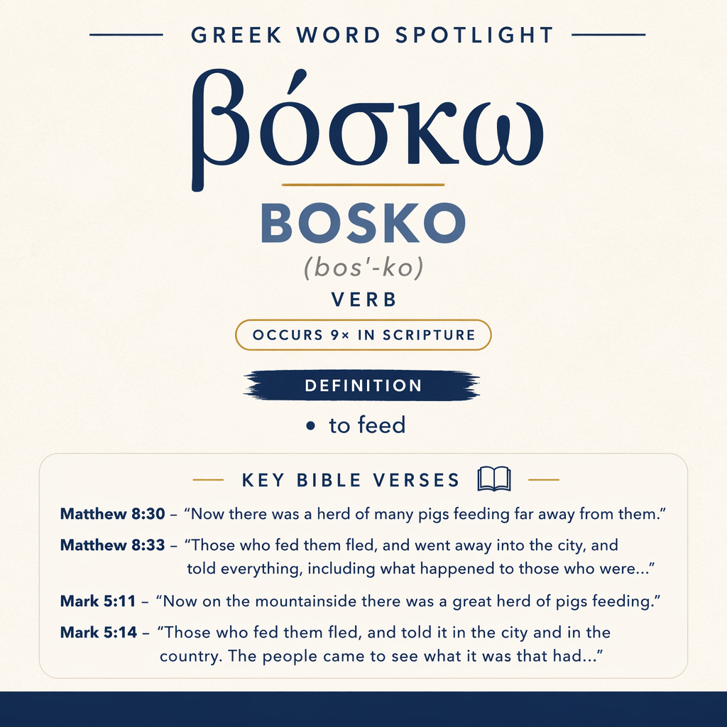 Exploring the Meaning of Bosko in Greek statistics