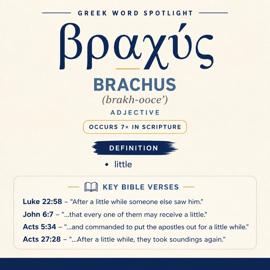 Exploring the Meaning of Brachus in Greek statistics