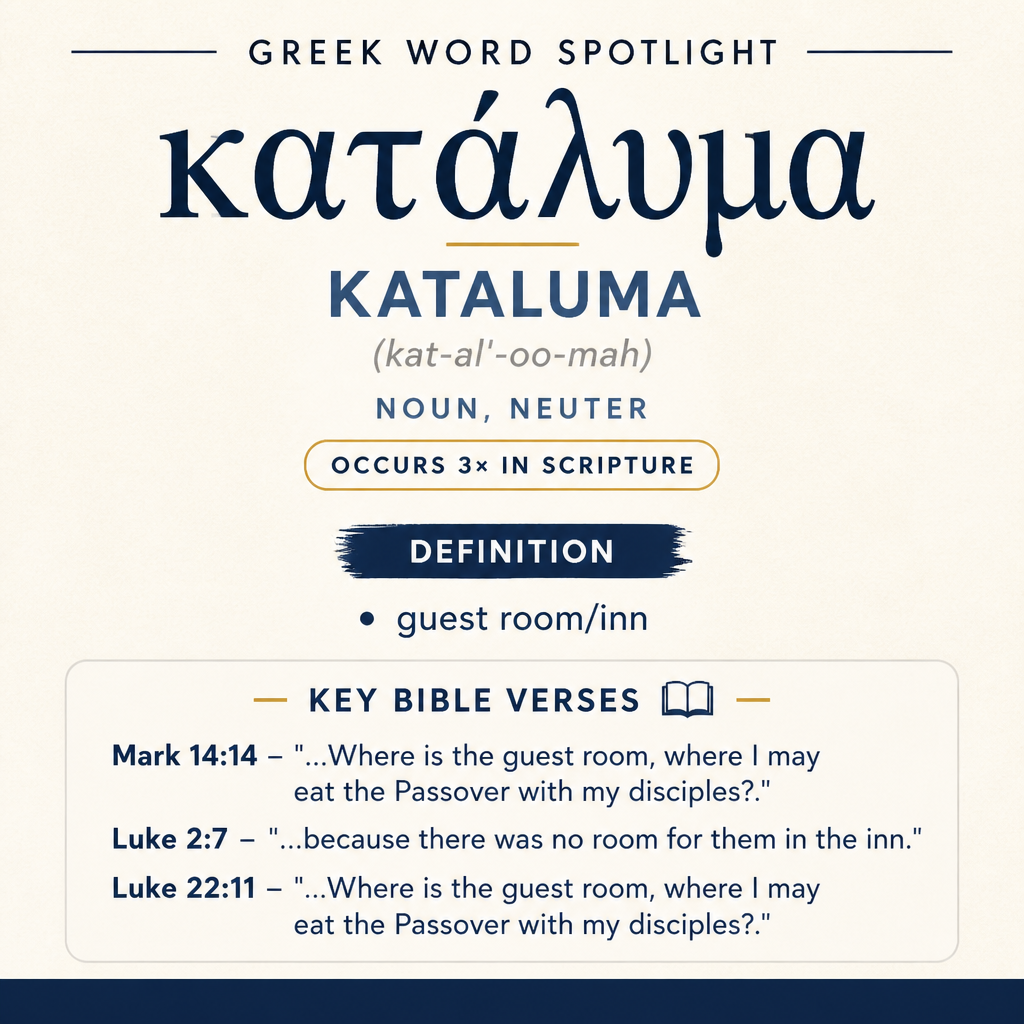 Exploring the Meaning of Kataluma in Greek statistics