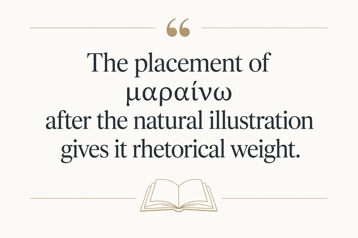 Key insight about Exploring the Meaning of Maraino in Greek