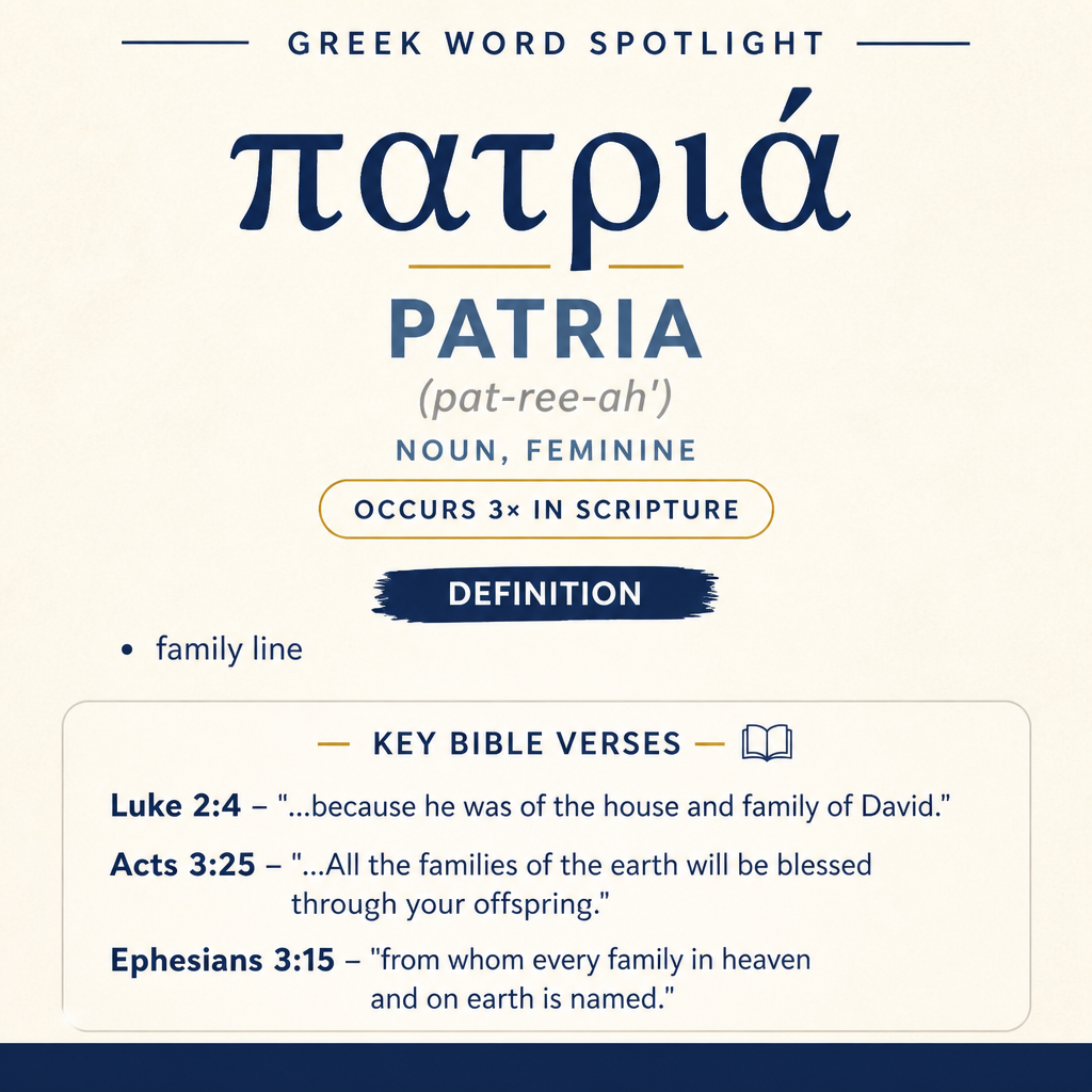 Exploring the Meaning of Patria in Greek statistics