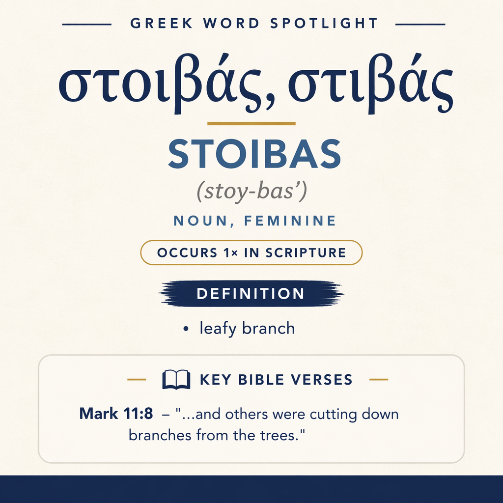 Exploring the Meaning of Stoibas in Greek statistics
