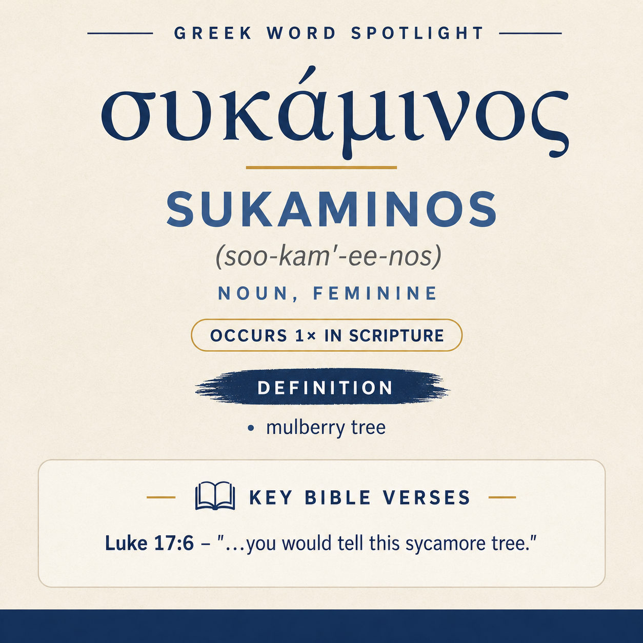 Exploring the Meaning of Sukaminos in Greek statistics