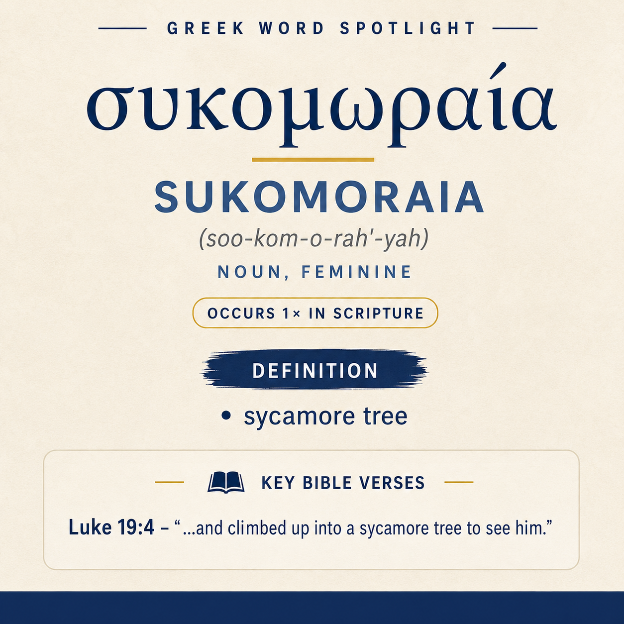 Exploring the Meaning of Sukomoraia in Greek statistics
