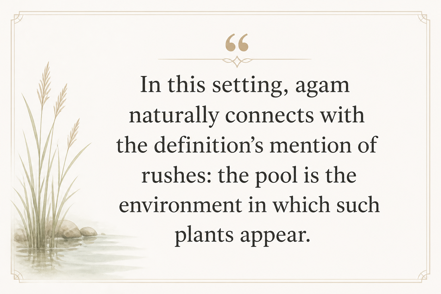 Key insight about Discovering the Meaning of 'Agam in Hebrew