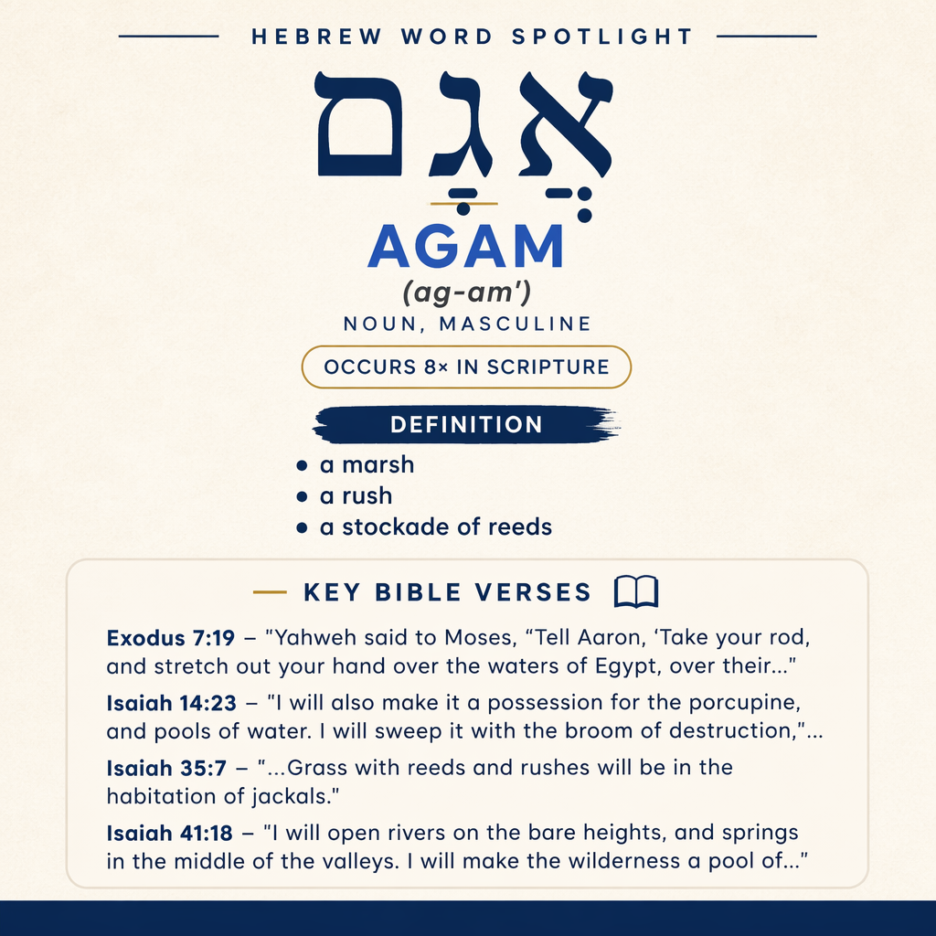 Discovering the Meaning of 'Agam in Hebrew statistics