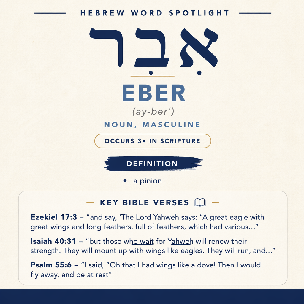Discovering What Does 'Eber Mean in Hebrew statistics