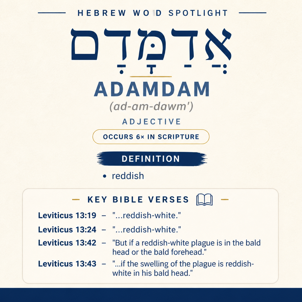 Exploring the Meaning of 'adamdam in Hebrew statistics