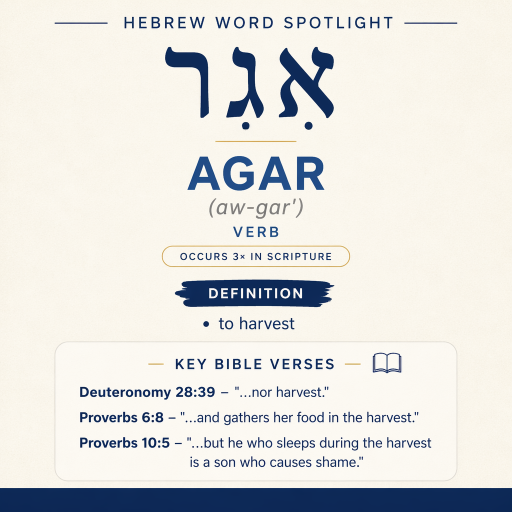 It appears in Deuteronomy 28:39 and twice in Proverbs (6:8; 10:5), each time tying the act of harvesting to the realitie