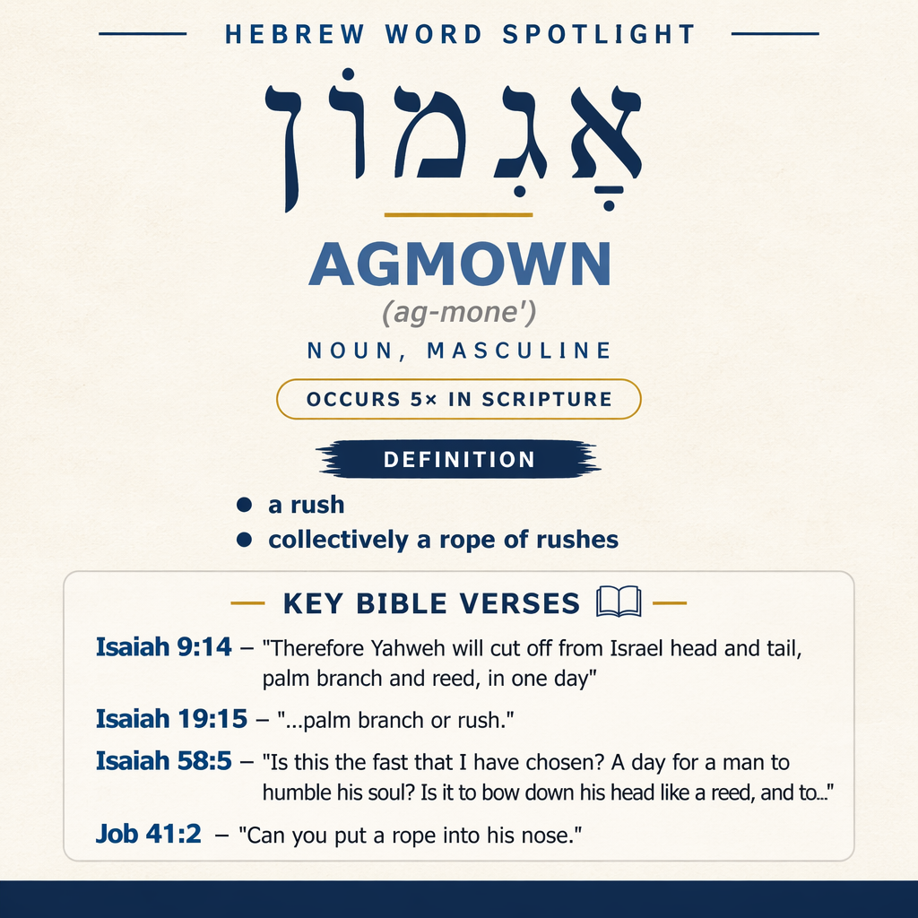 Exploring the Meaning of 'agmown in Hebrew statistics