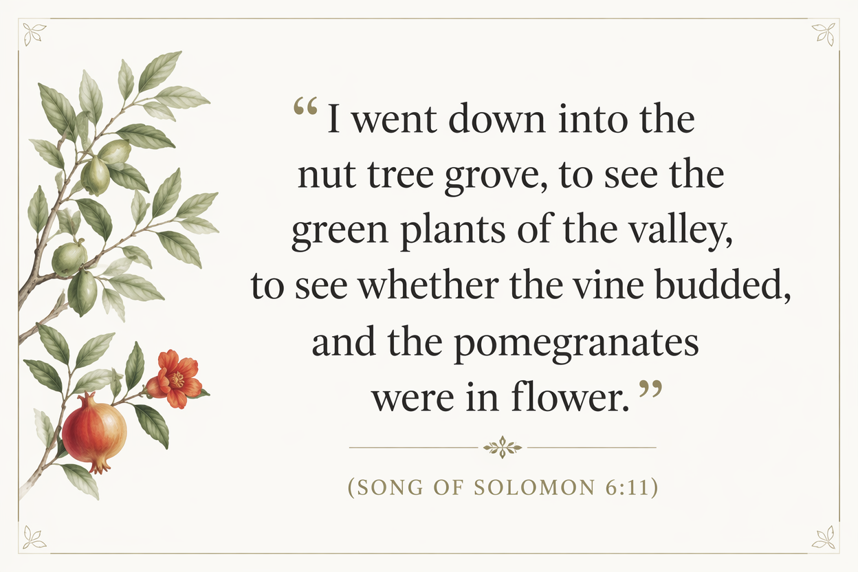 Key insight about Exploring the Meaning of 'egowz in Hebrew