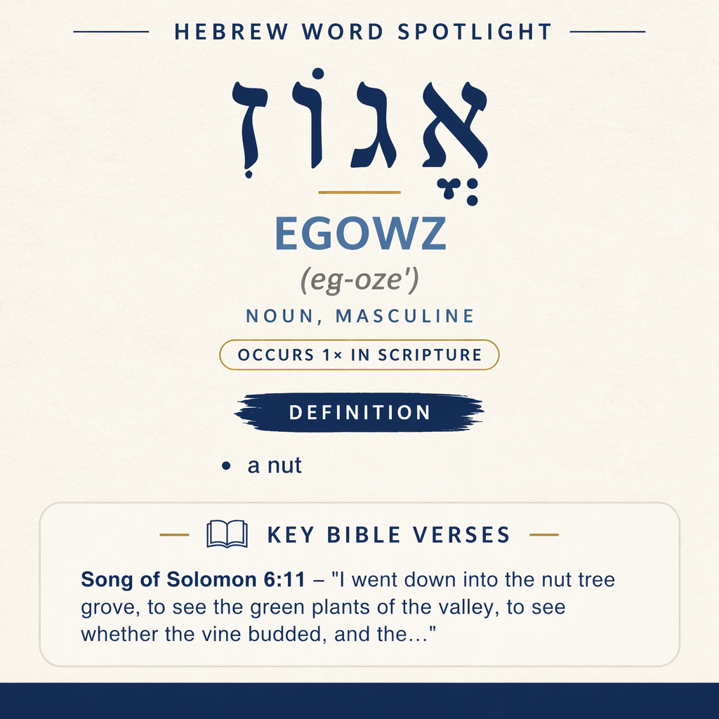 Exploring the Meaning of 'egowz in Hebrew statistics