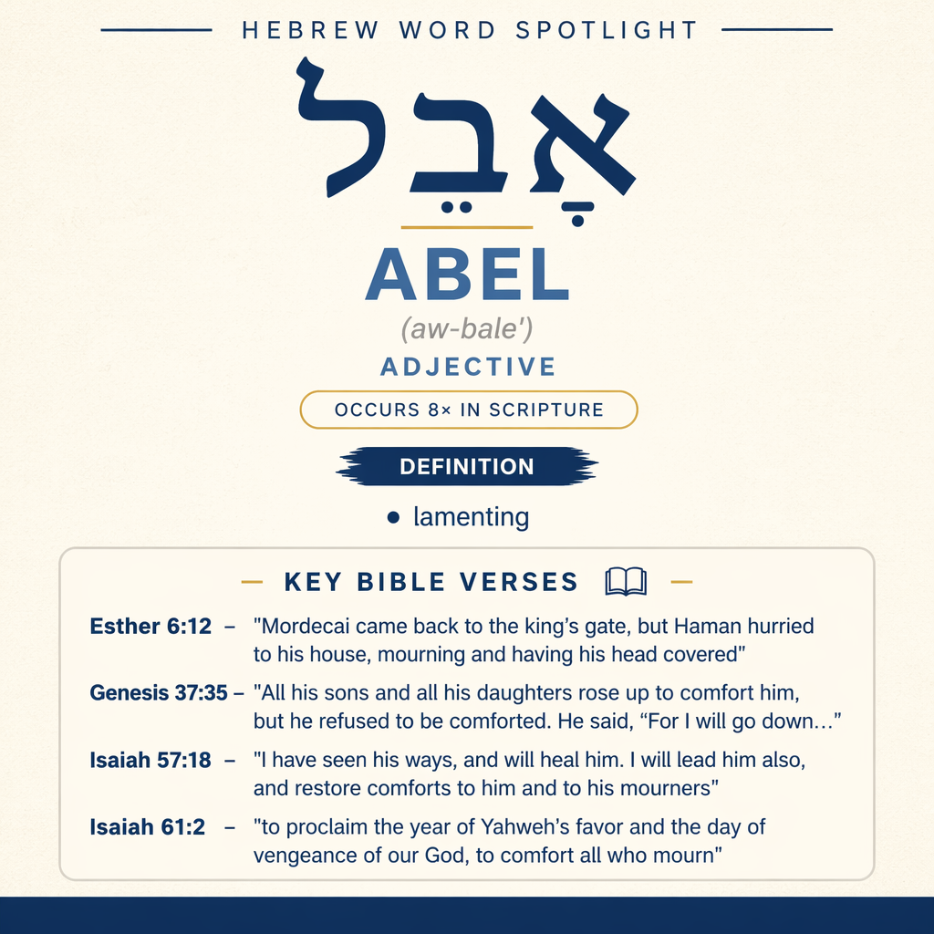 Understanding the Meaning of 'Abel  in Hebrew statistics