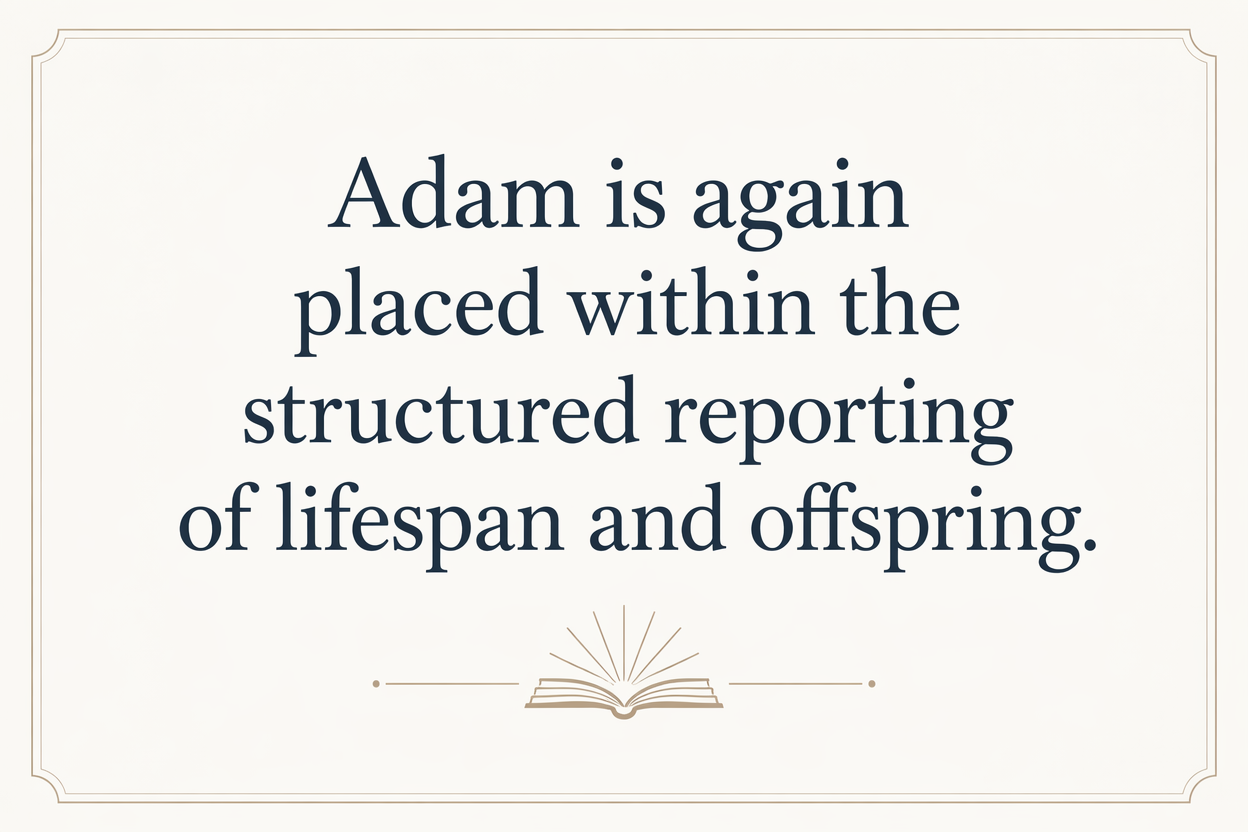 Key insight about Understanding the Meaning of 'Adam in Hebrew