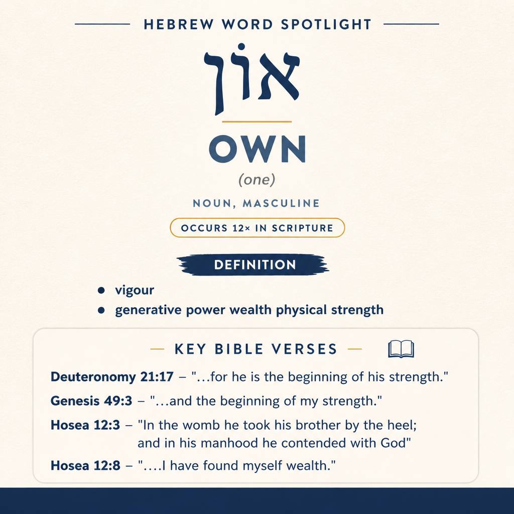 Unraveling the Meaning of 'own in Hebrew statistics