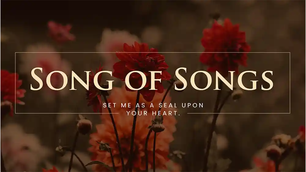 Lieder der Lieder – Grafiken der Predigtserie von Ministry Voice