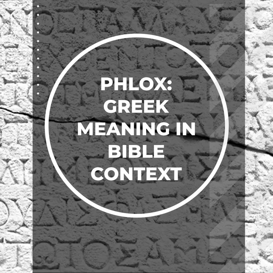 exploring-the-meaning-of-phlox-in-greek